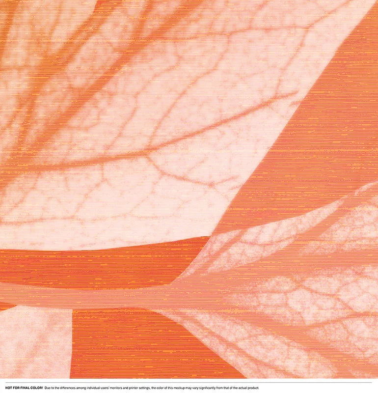 Branching Out