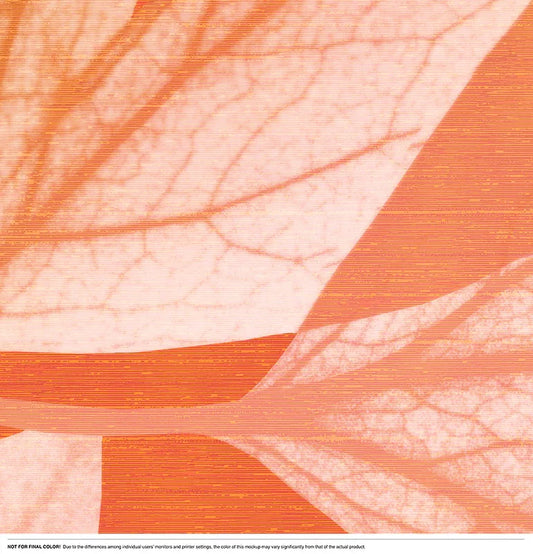 Branching Out