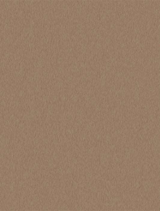 Brushed Champagne 2506