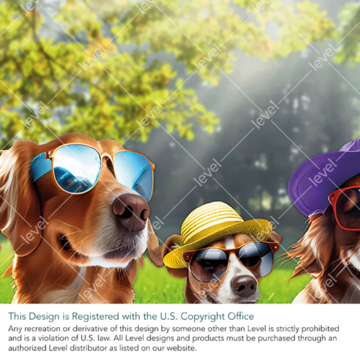 Camp Bow Wow