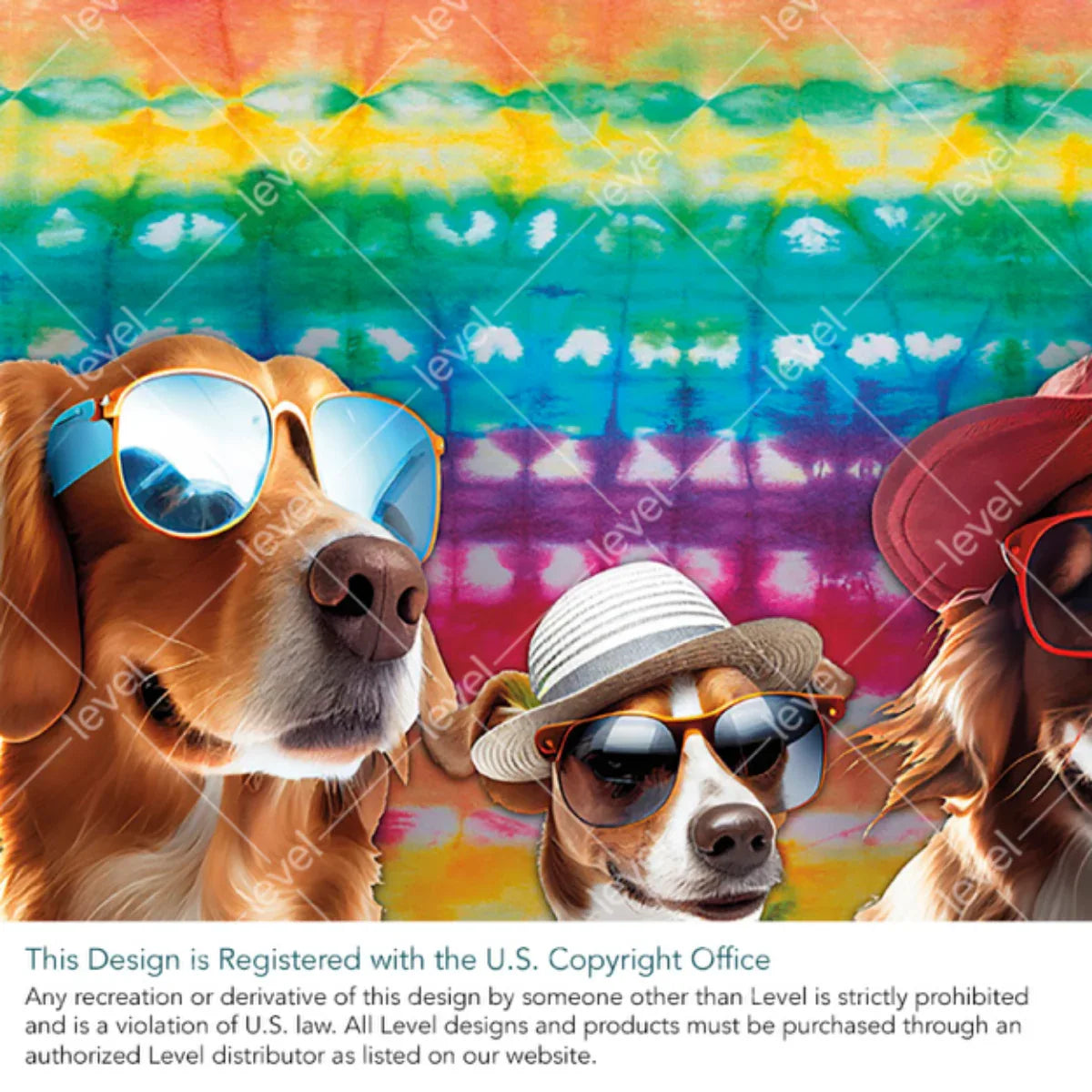 Camp Bow Wow
