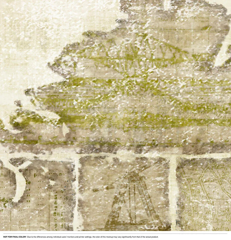 Cartographer