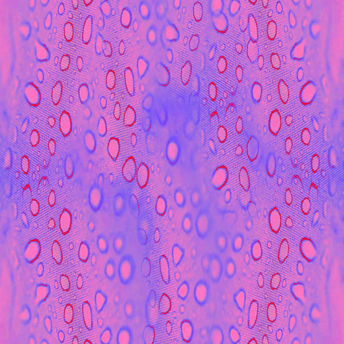 Chroma