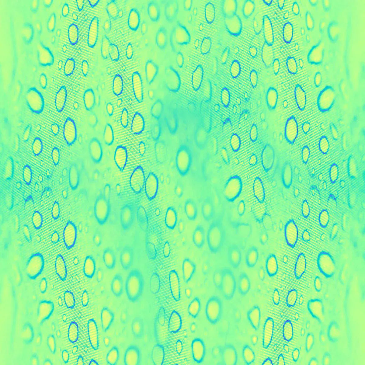 Chroma