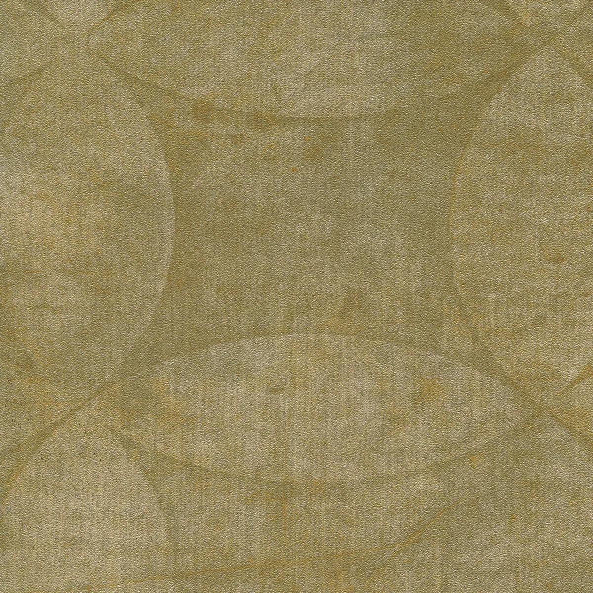 Discus