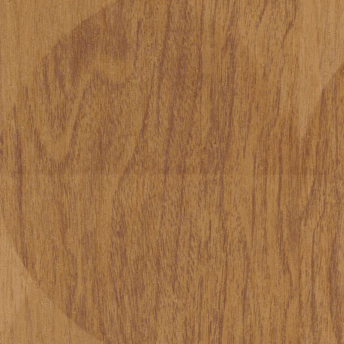 Woodgrain Circles