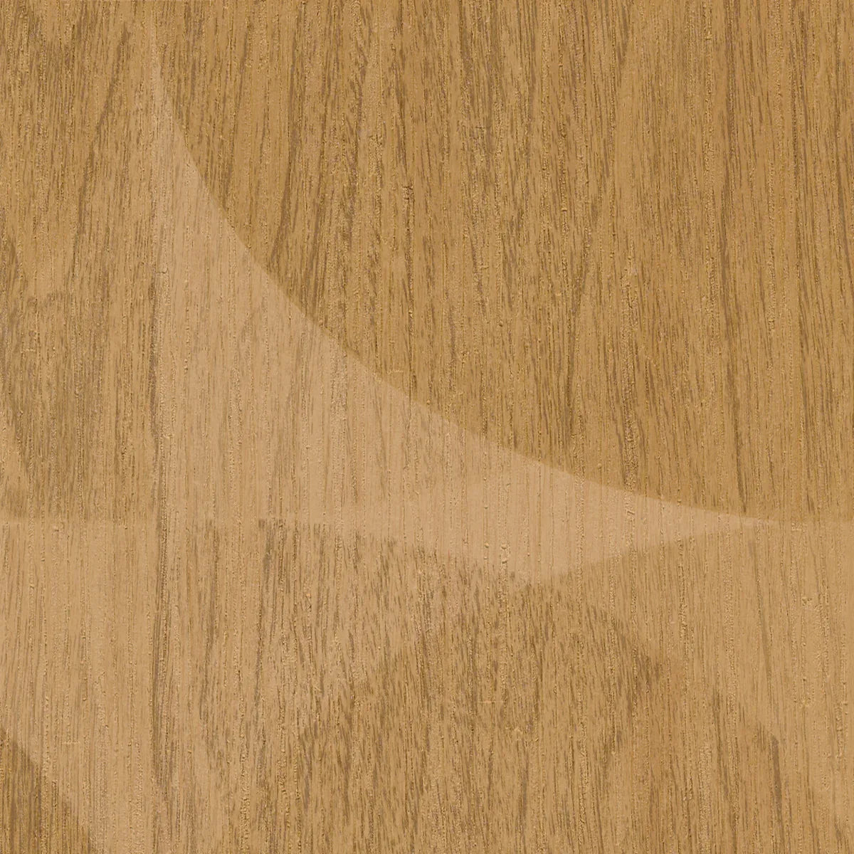 Woodgrain Circles