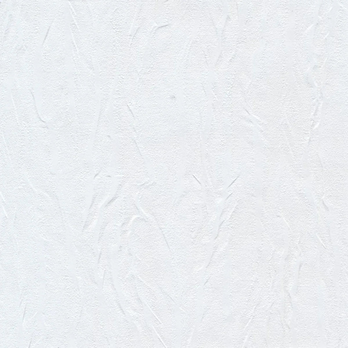Pashmina