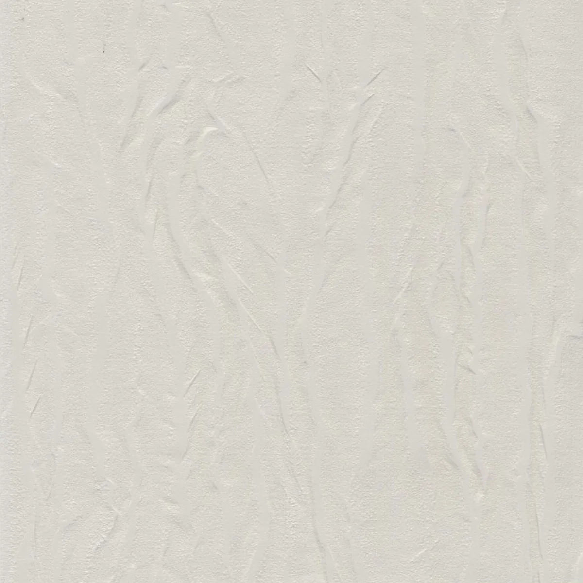 Pashmina