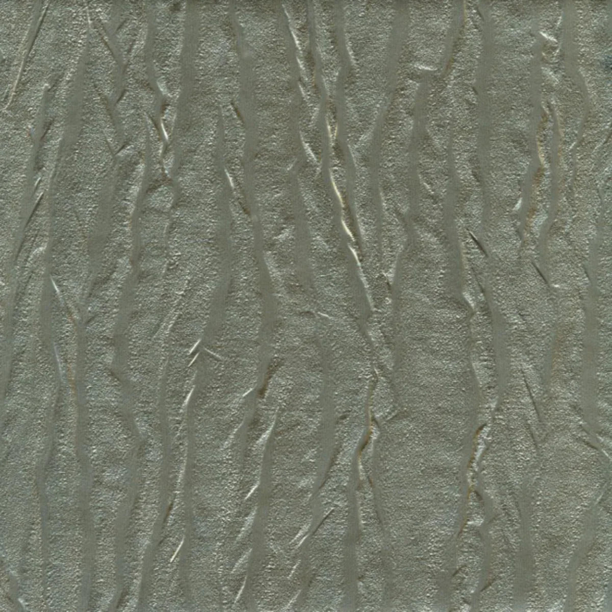 Pashmina