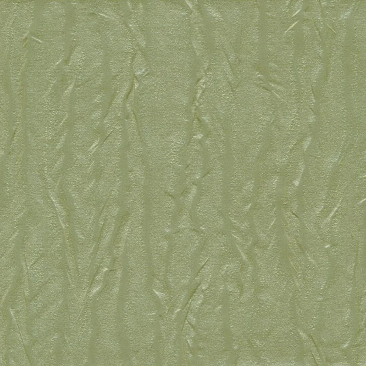 Pashmina