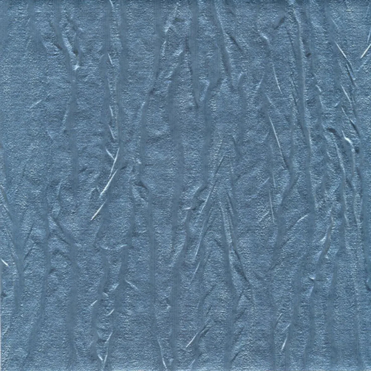 Pashmina
