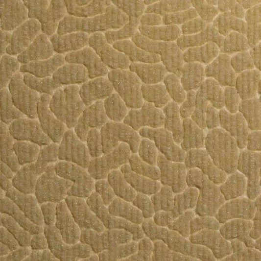 Cream AS-424-06