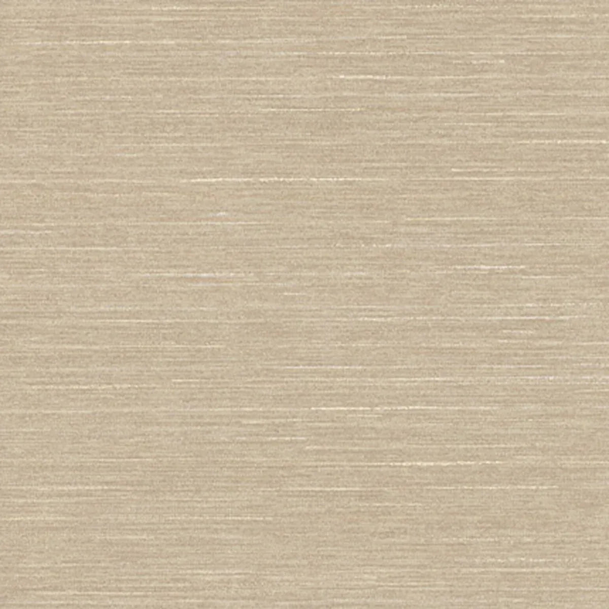 Caraway DN2-15258