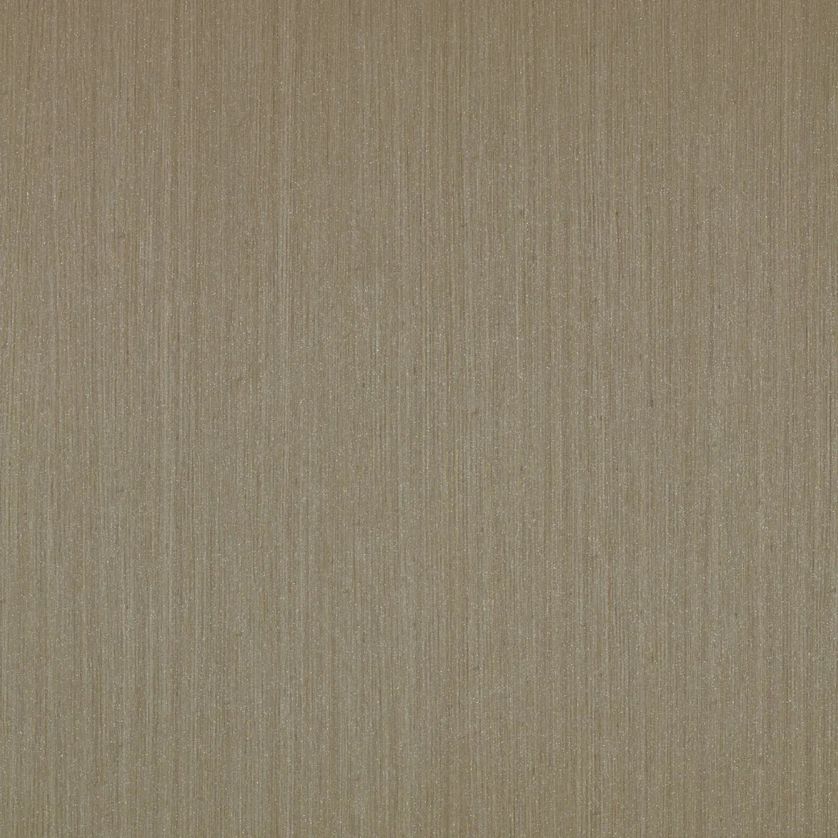 Arista