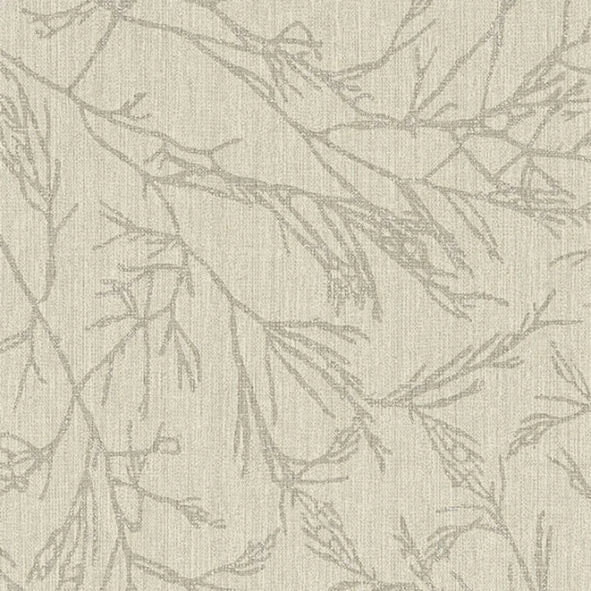 Canyon Willow