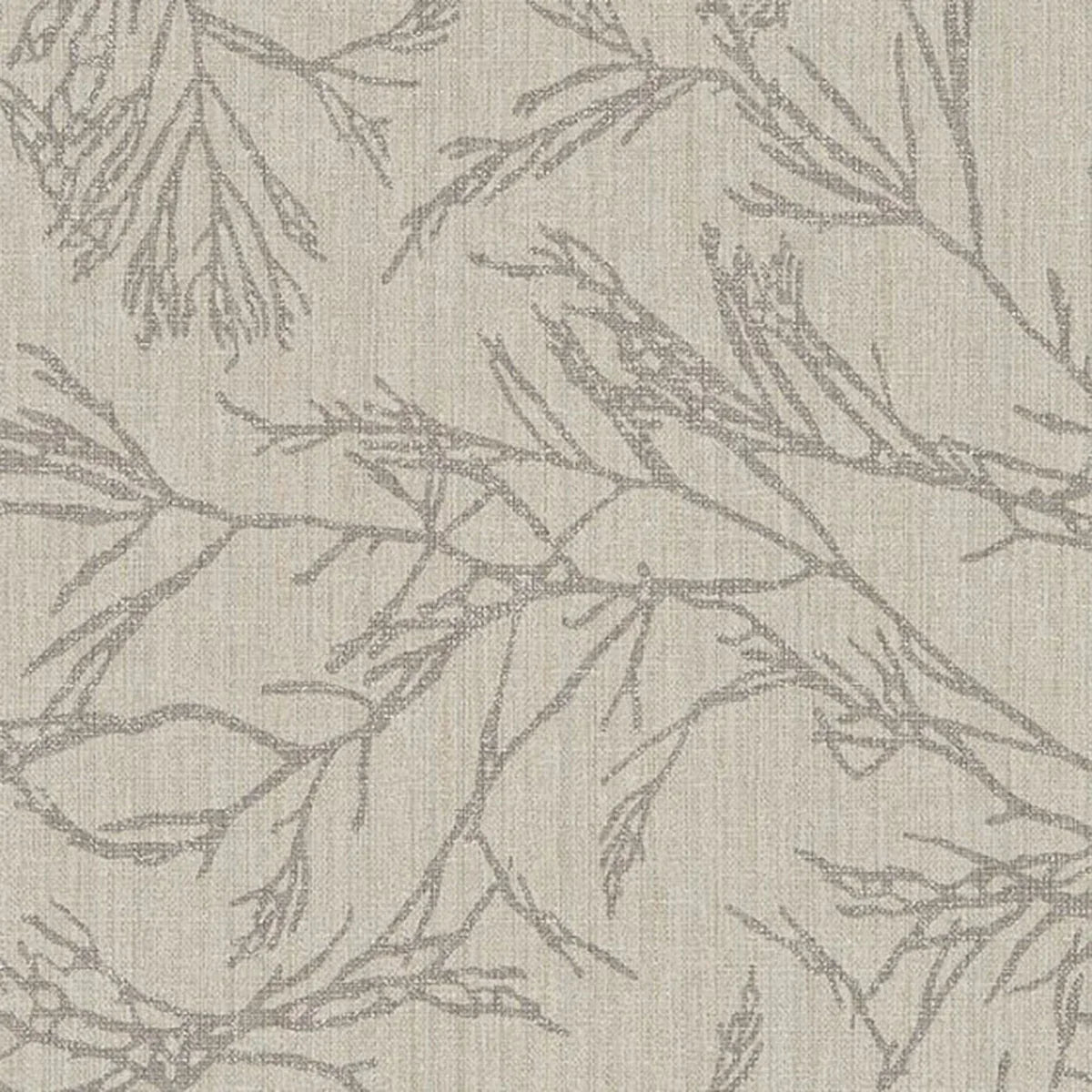 Canyon Willow