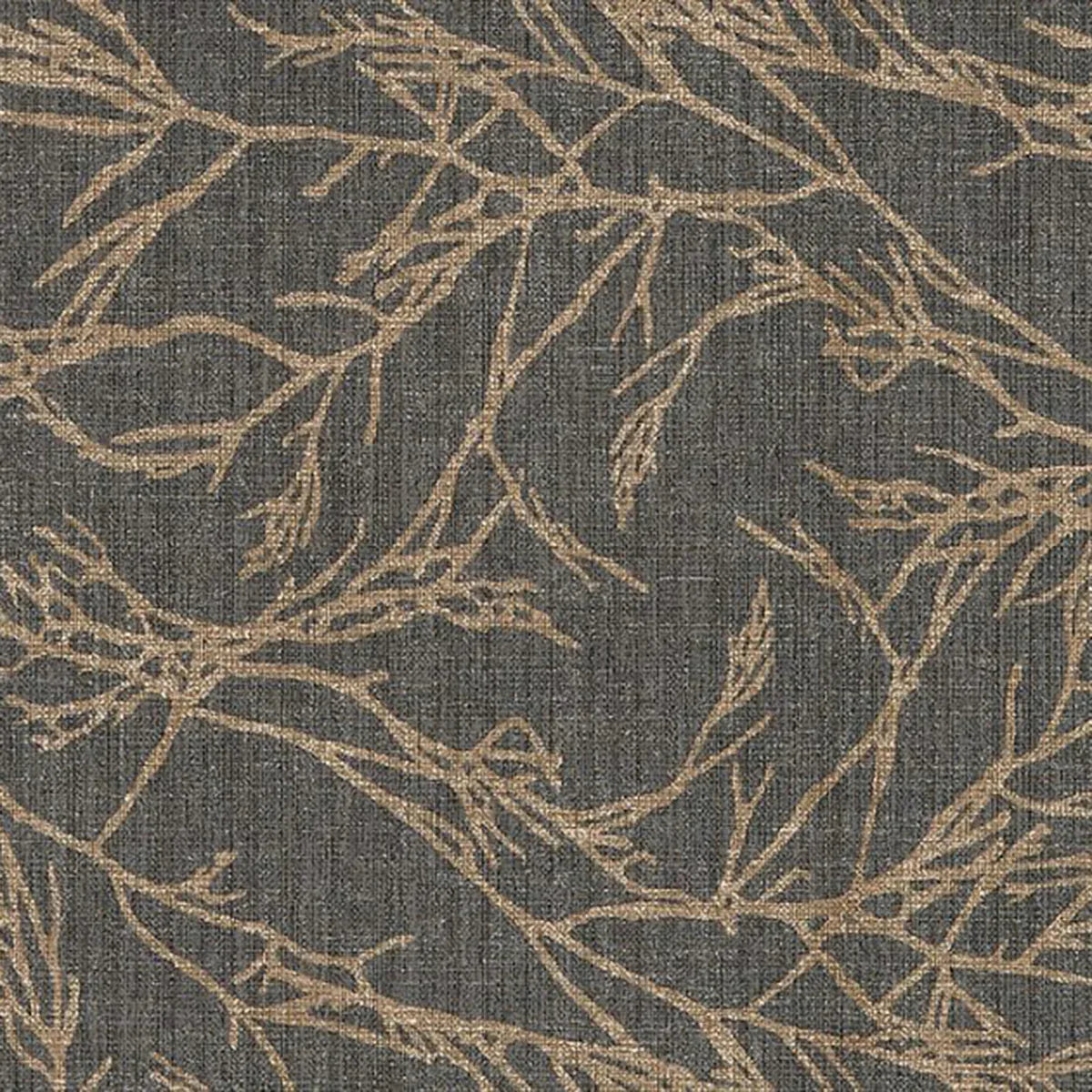 Canyon Willow
