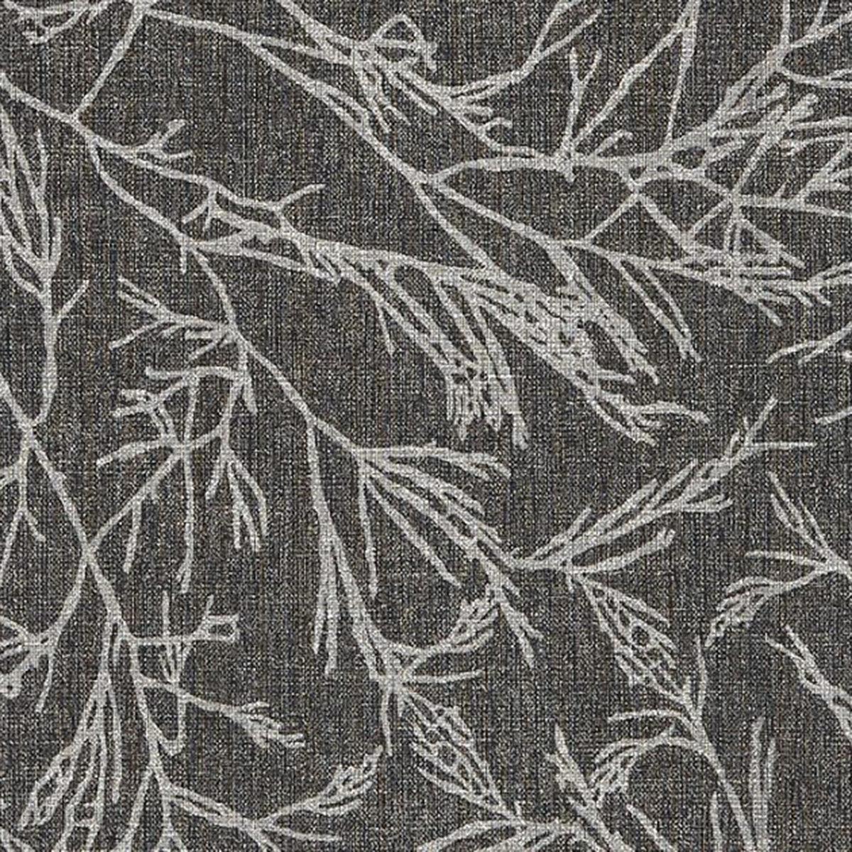 Canyon Willow