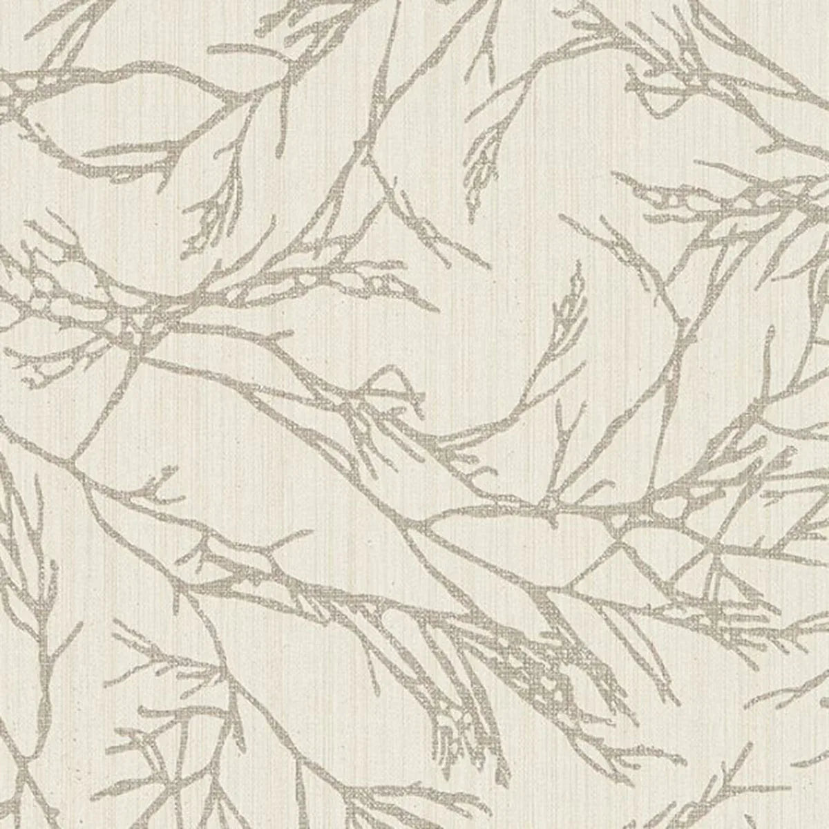 Canyon Willow