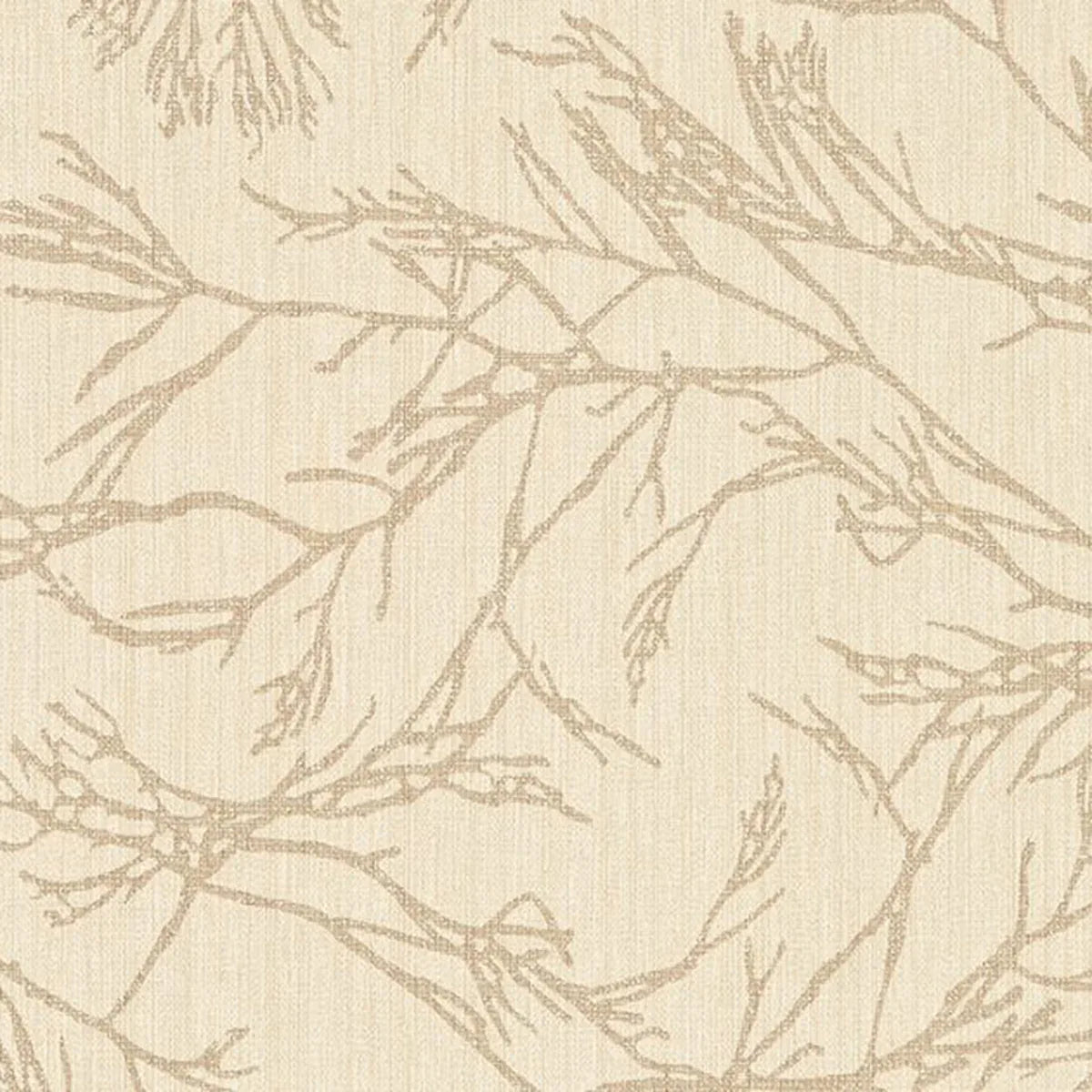 Canyon Willow