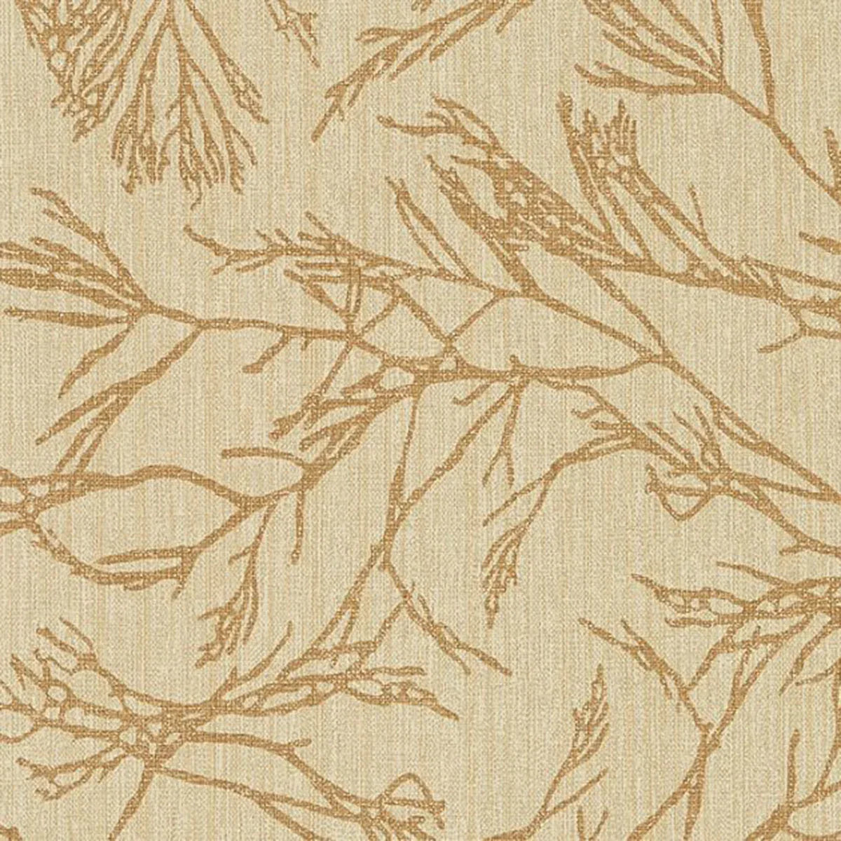 Canyon Willow