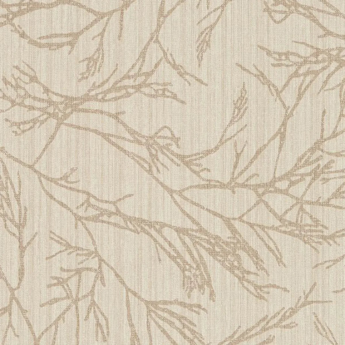 Canyon Willow