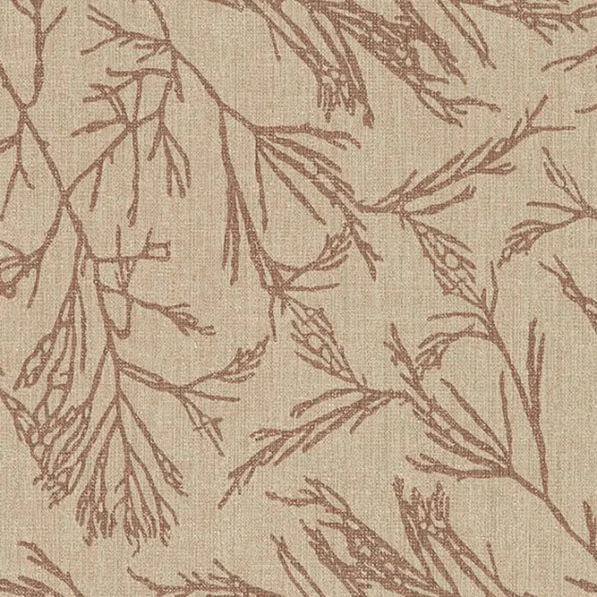 Canyon Willow