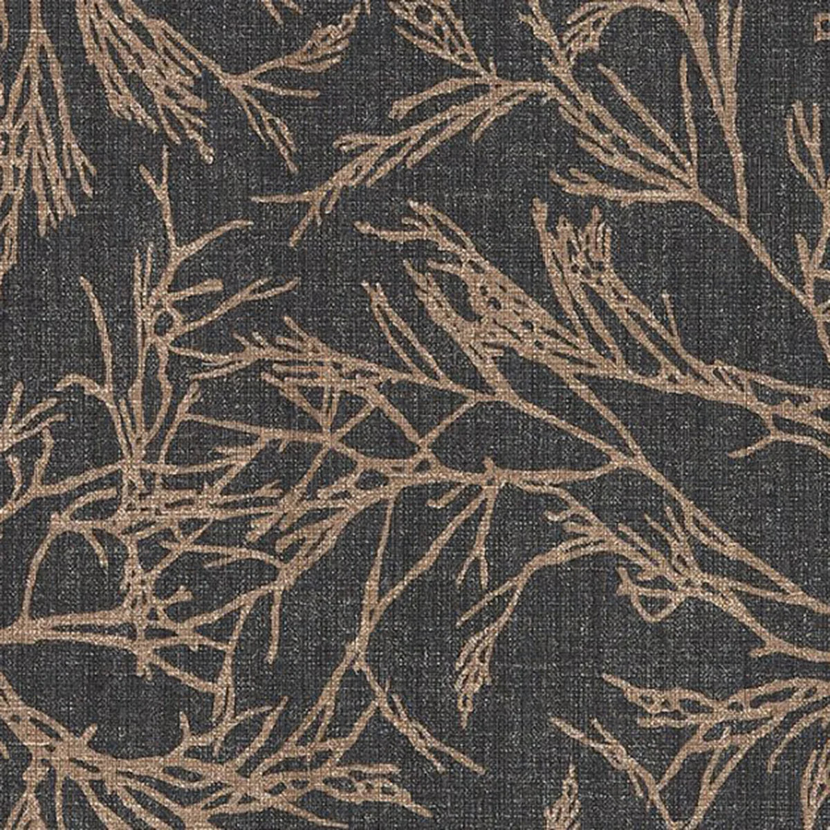 Canyon Willow