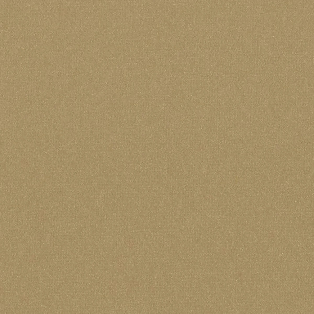 Matisse Texture