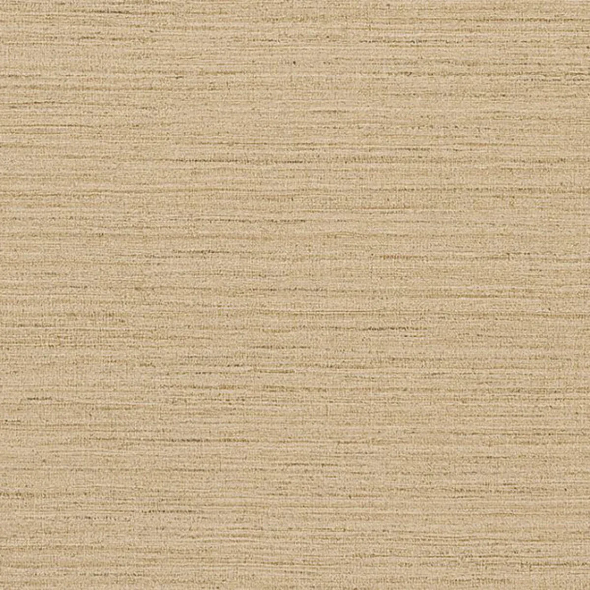 Shima Texture