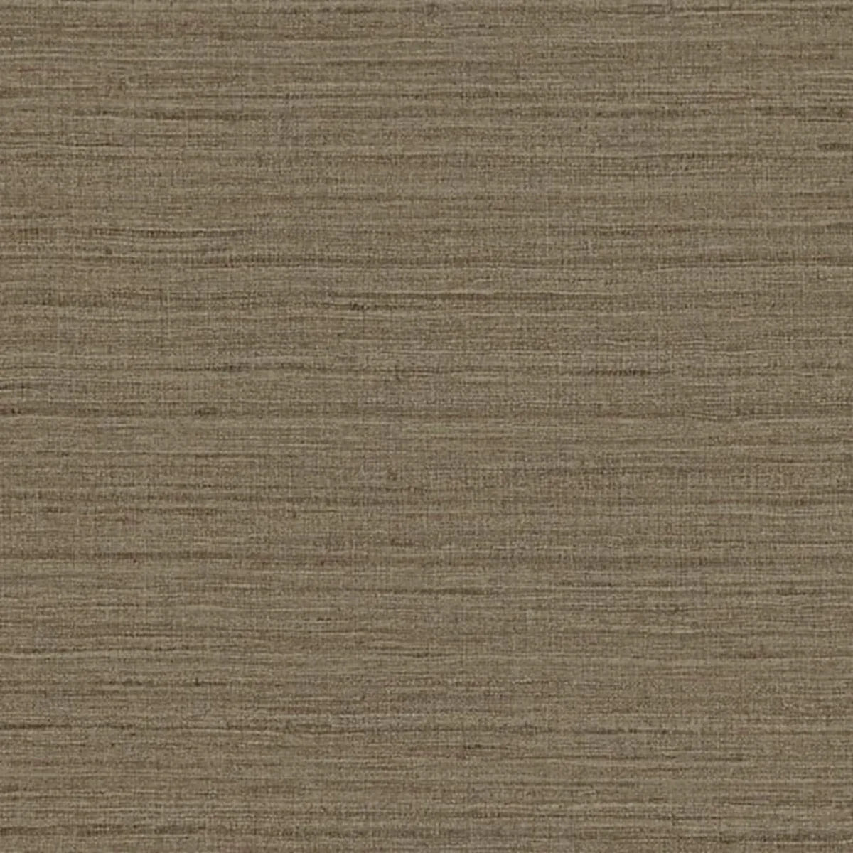 Shima Texture