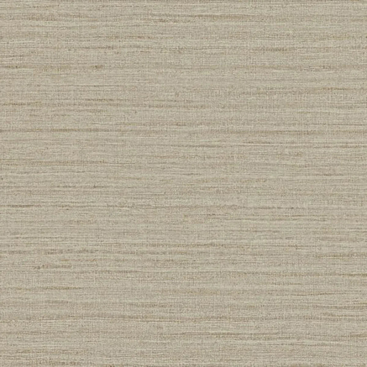 Shima Texture