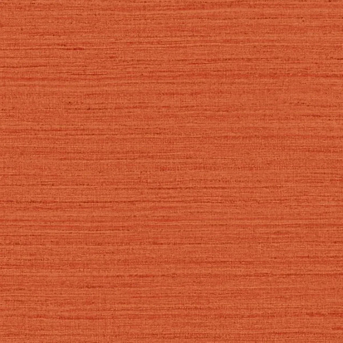 Shima Texture