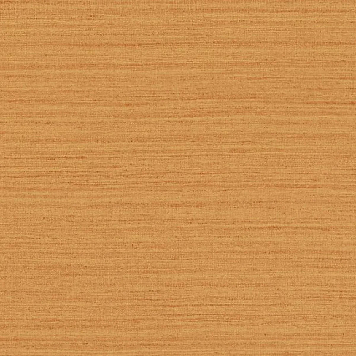 Shima Texture