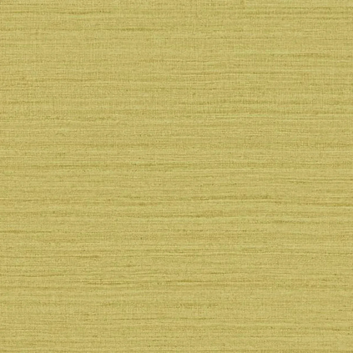 Shima Texture