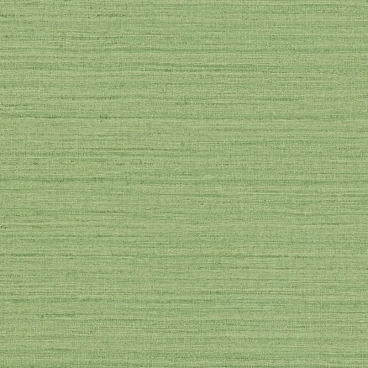 Shima Texture