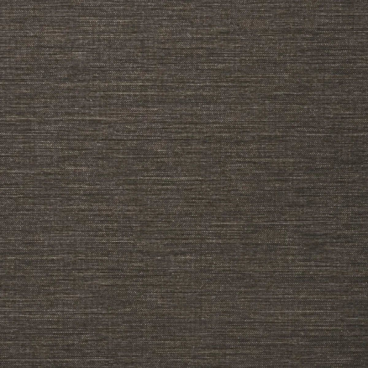 Spartina