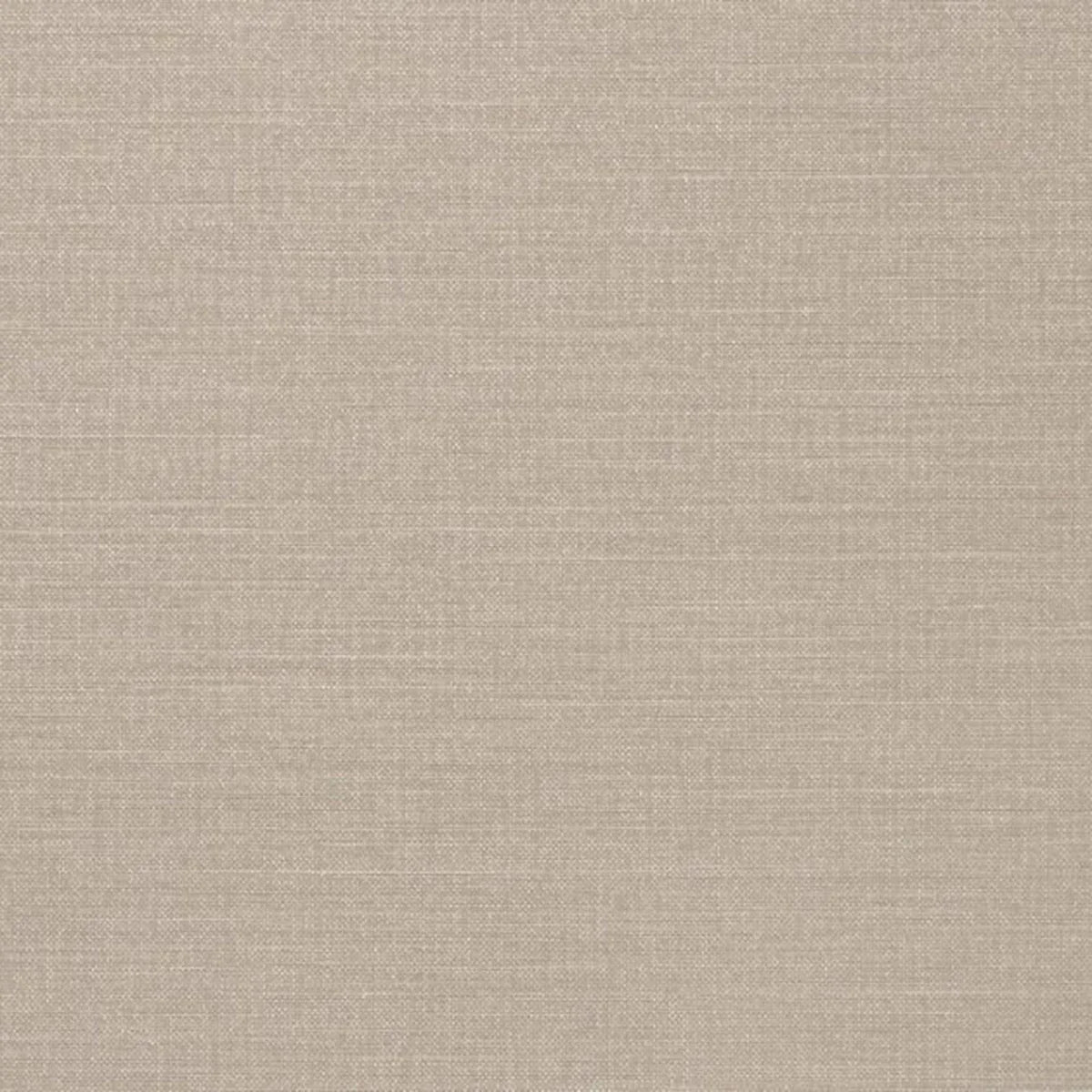 Spartina