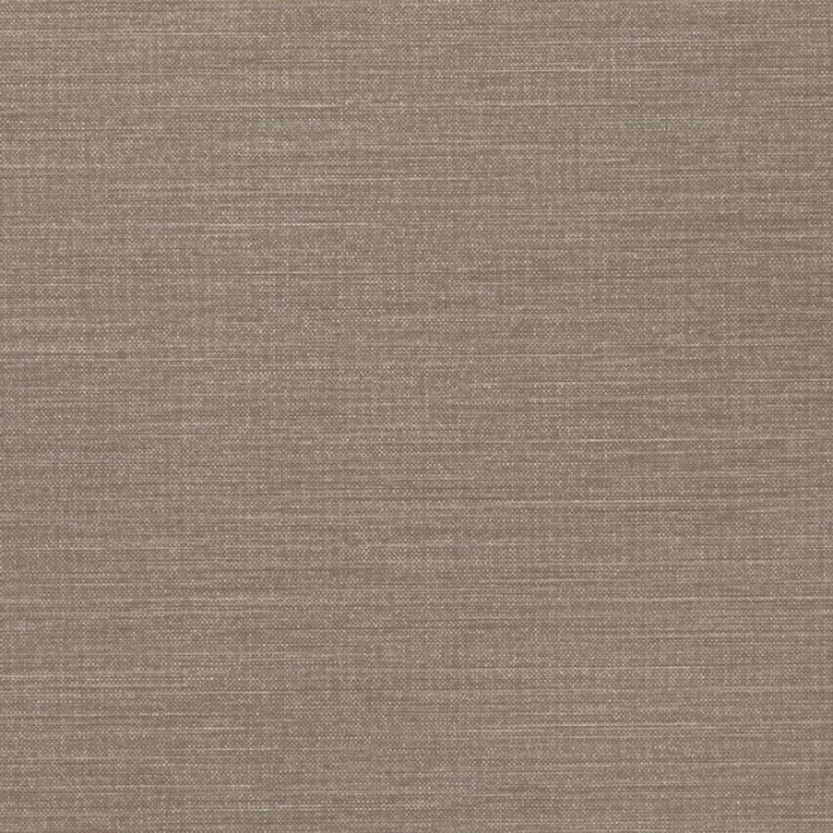 Spartina