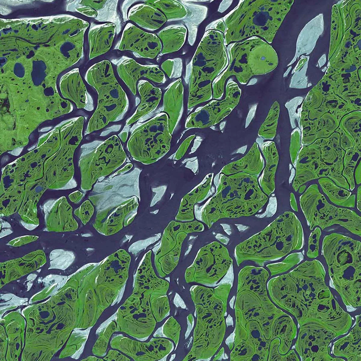 Earth