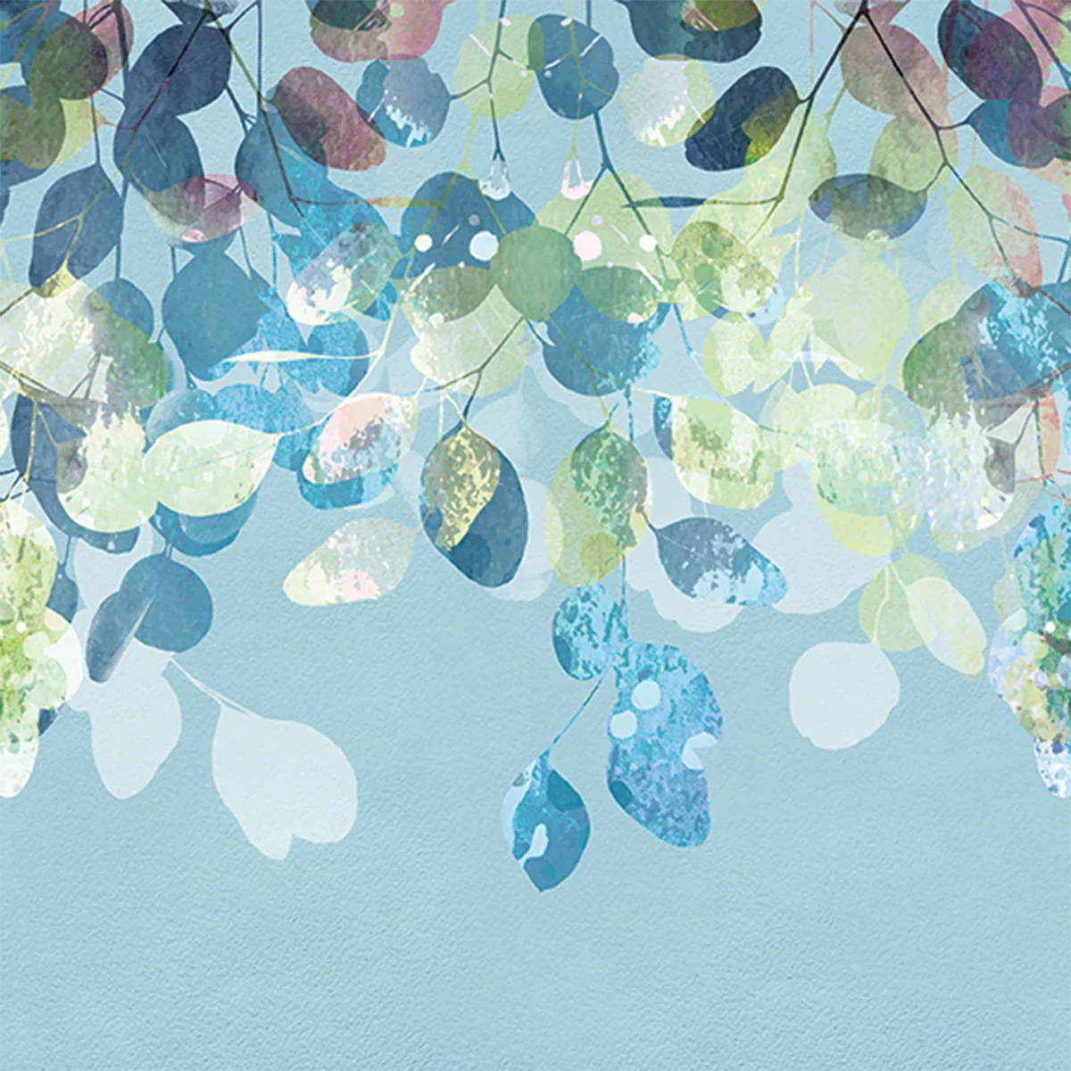Eucalyptus