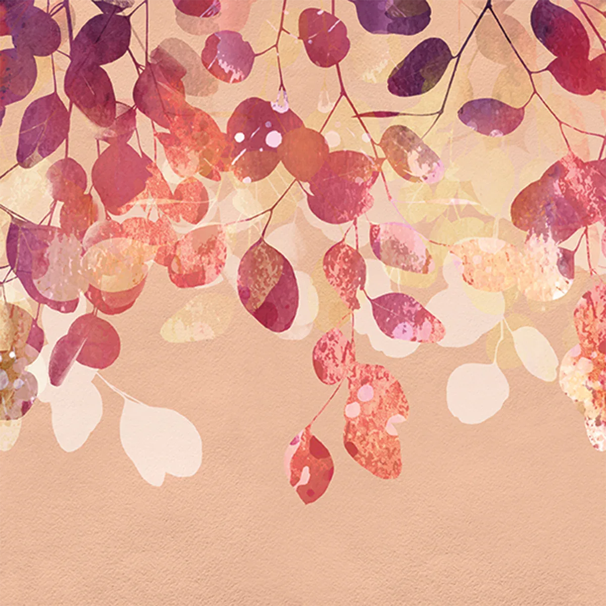 Eucalyptus