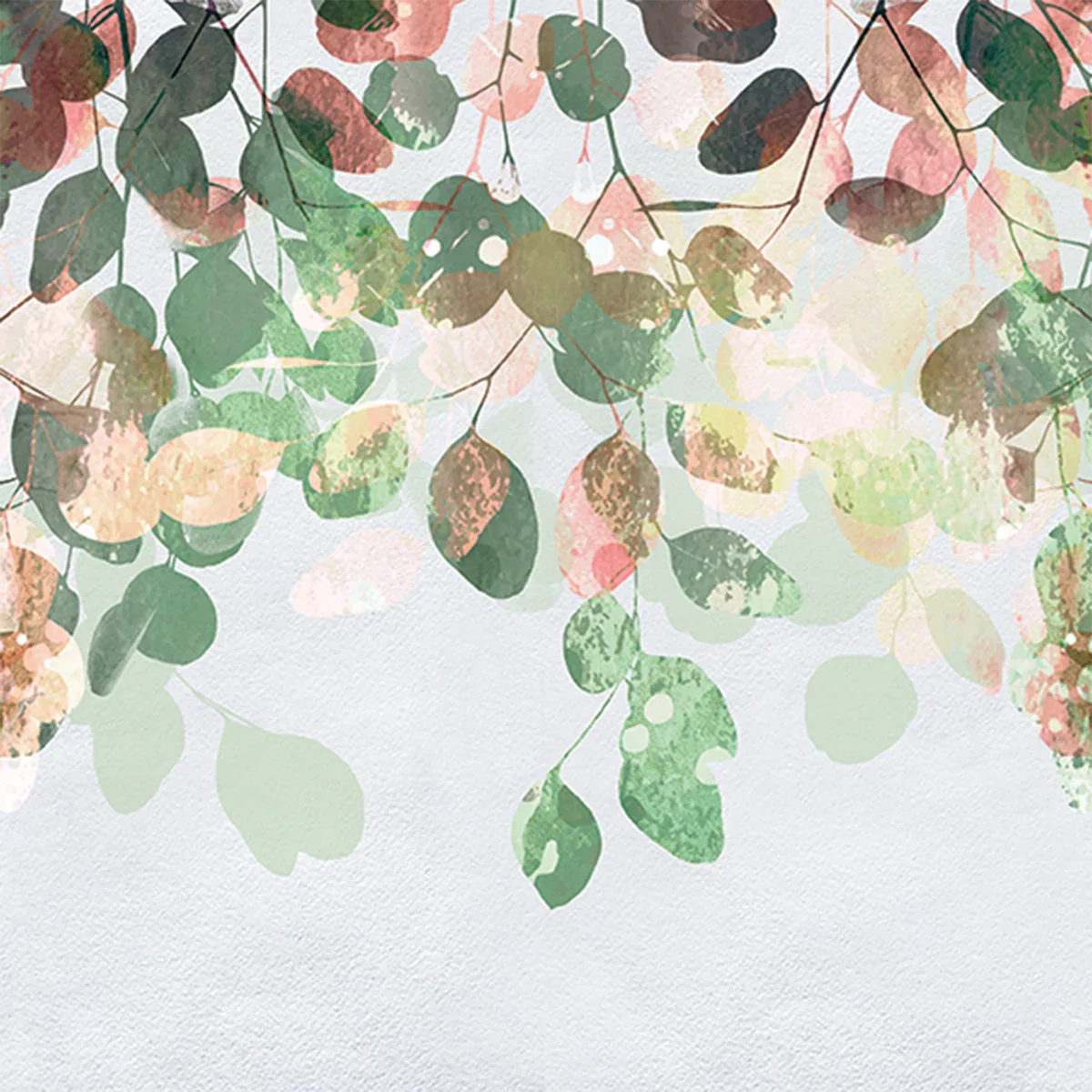 Eucalyptus