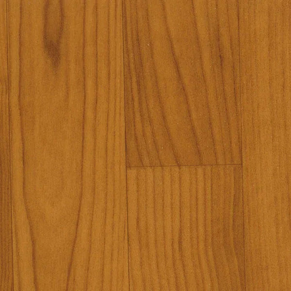Evolution Wood