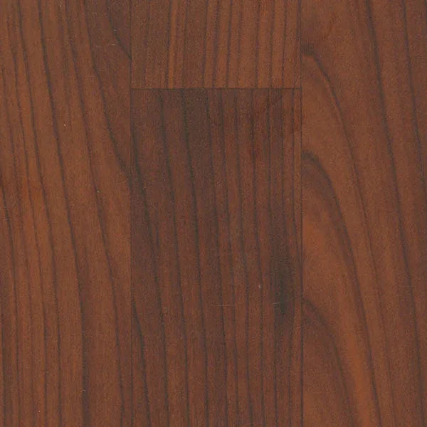 Evolution Wood