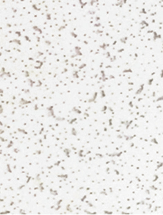 Faux Mineral Fiber Ceiling Tiles