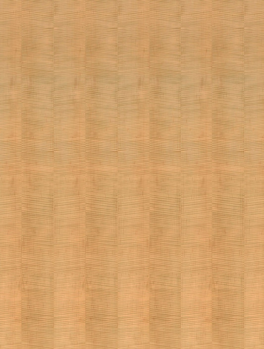 Fiddleback Maple Light