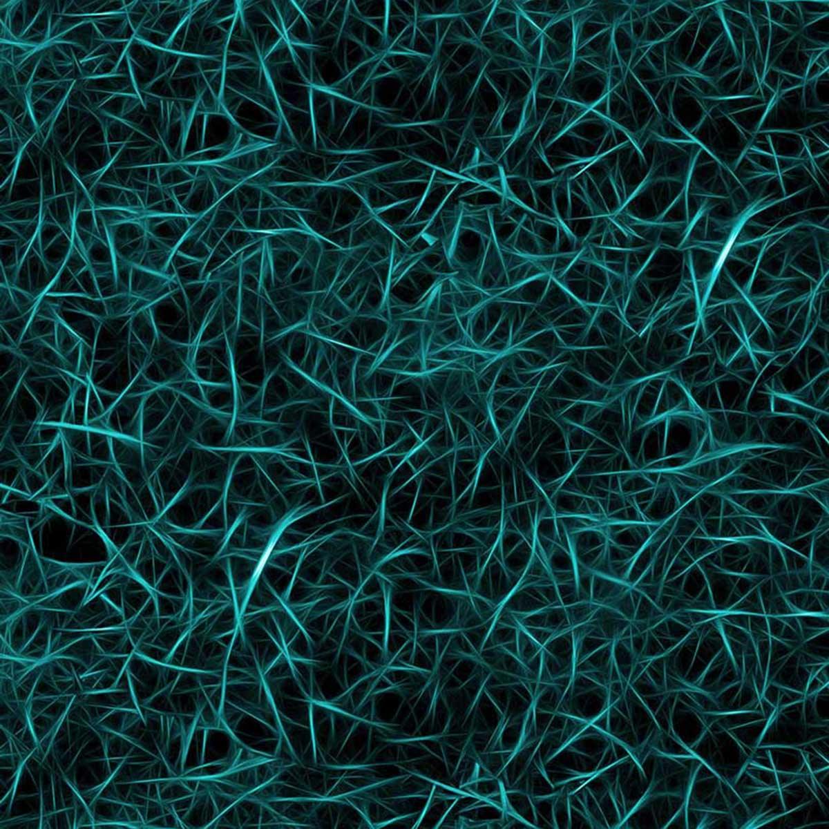 Fractal Swarm