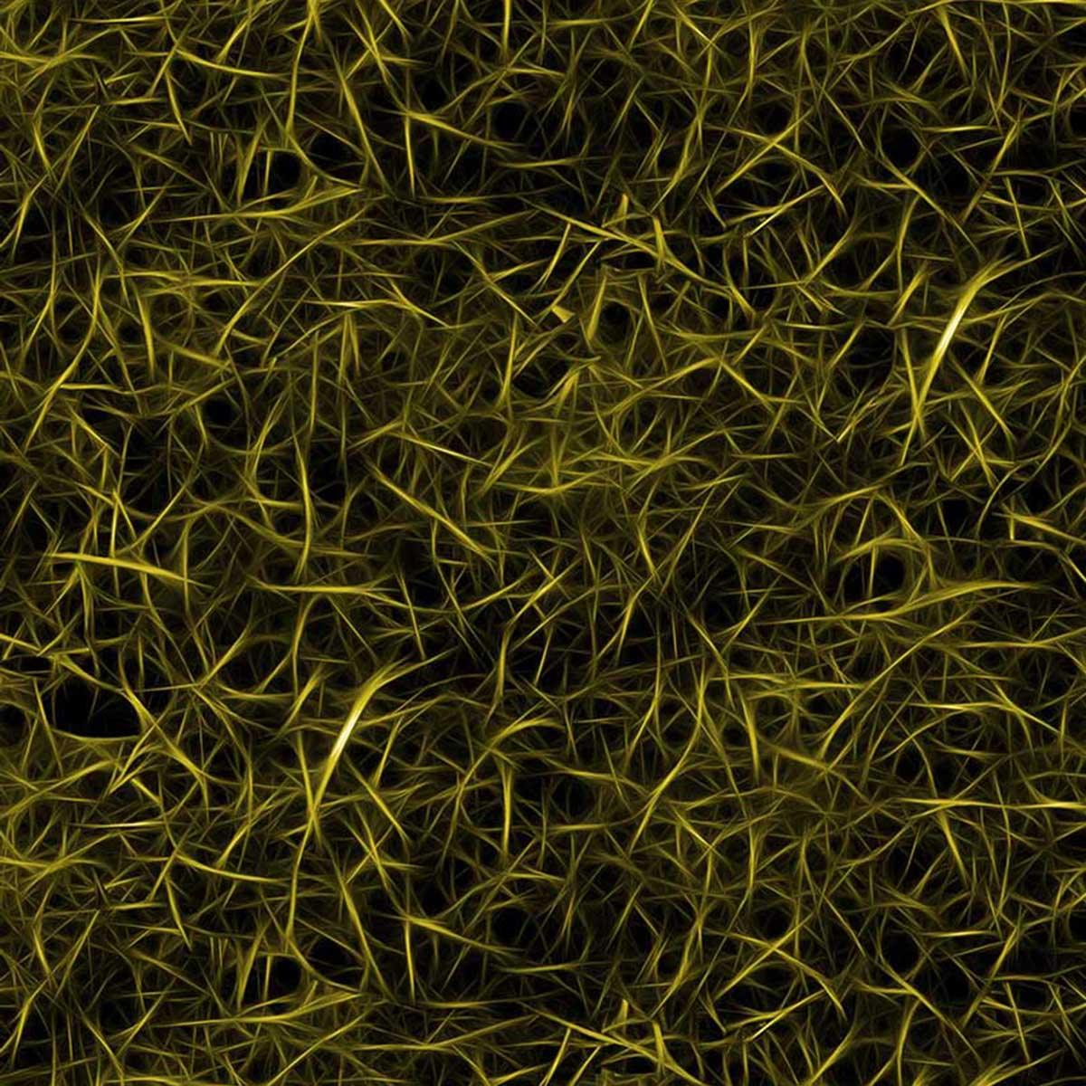 Fractal Swarm